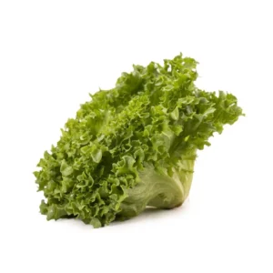 Sallad Krisp 1st