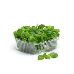 Basilika i Ask ca50gr