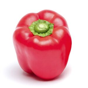 Röd Paprika 1kg