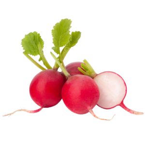 Rädisor 500g