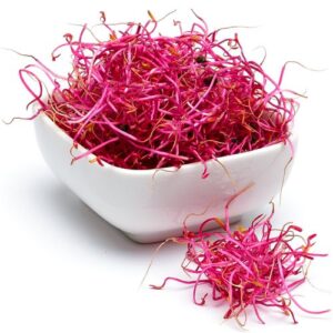 Rödbetsgroddar Klass1 500g