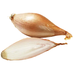 Bananschalotten Lök 1kg