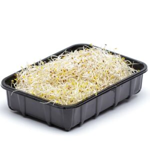 Alfalfagroddar Klass1 500g