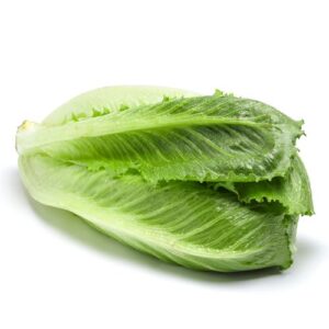 Sallad Cosmopolitan Klass1 1st